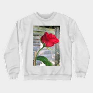 Red Rose Crewneck Sweatshirt